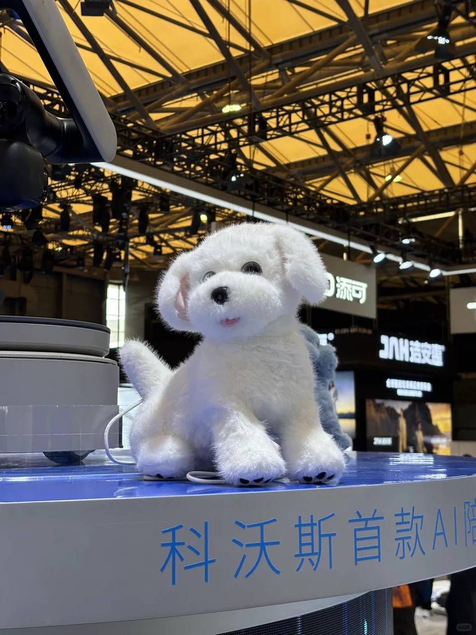 awe遇上梦中情狗了🐶