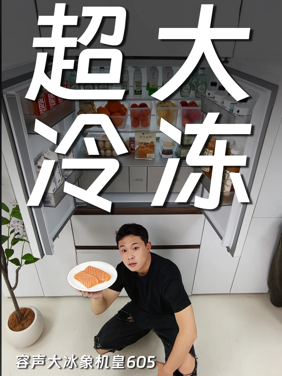 大容量冷冻舱，全家生鲜一次囤满