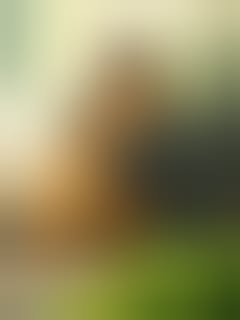 fb_100086663937065