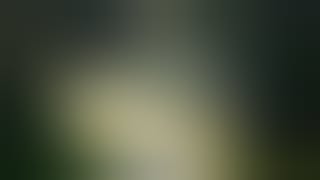 fb_100087416127357